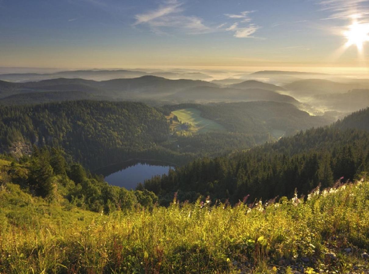 Ferienwohnung Zwischen Rhein Und Schwarzwald Bischweier 외부 사진